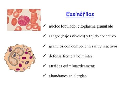 eosinófilos altos